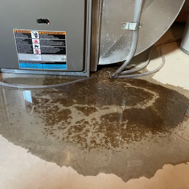 Appliance Leak Cleanup in Buckley, WA