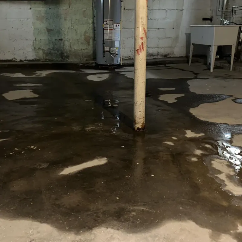 Emergency Water Extraction And Removal in Buckley, WA